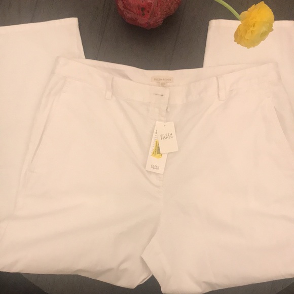 Eileen Fisher Cotton Hemp Stretch Tapered Pant Sz 18 - Picture 8 of 11